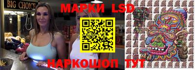 spice Можга