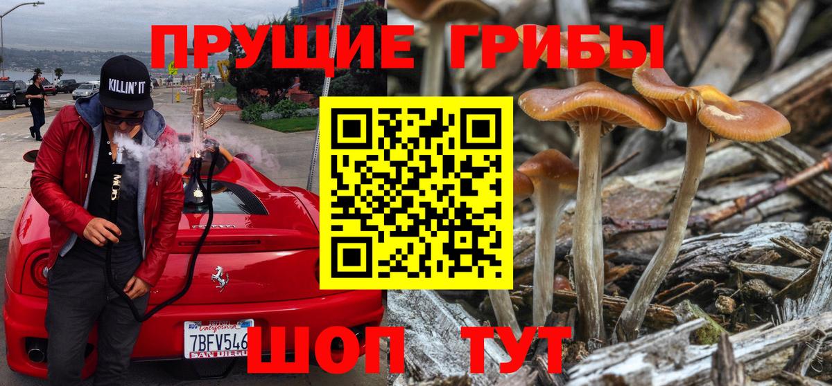 Псилоцибиновые грибы GOLDEN TEACHER Верхний Уфалей